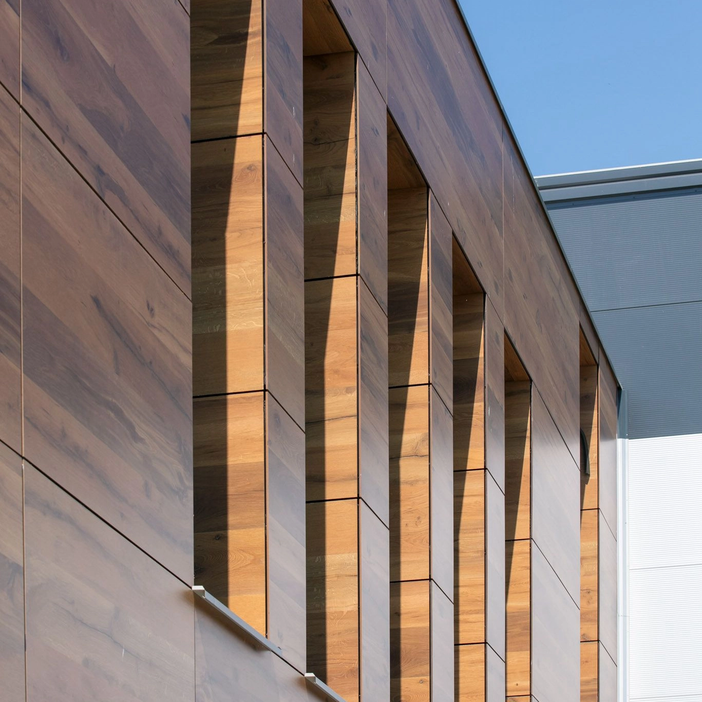 Wood Grain Aluminum Composite Panels for Exterior Façade