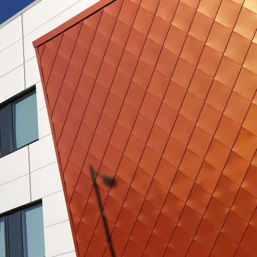 Wholesale Chameleon Aluminum Composite Panel Siding, Organ ACP Supplier